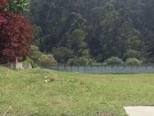 Terreno venda em Centro Empresarial Tamboré, Barueri