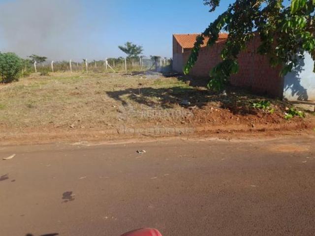 Terreno venda em Região Imediata de Barretos, Guaraci