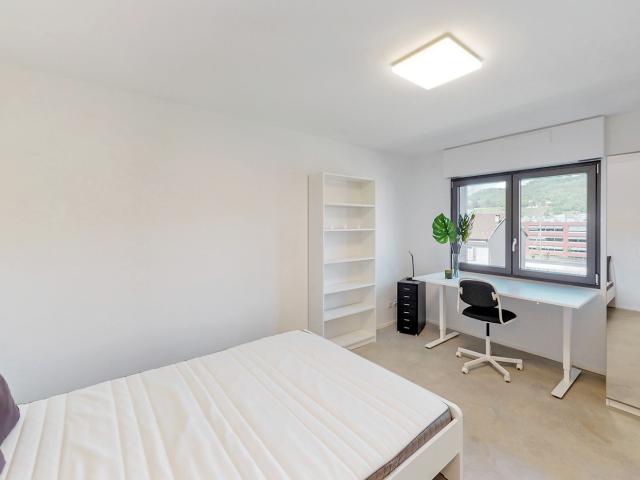 Wohnung mieten in Mendrisio, Tessin