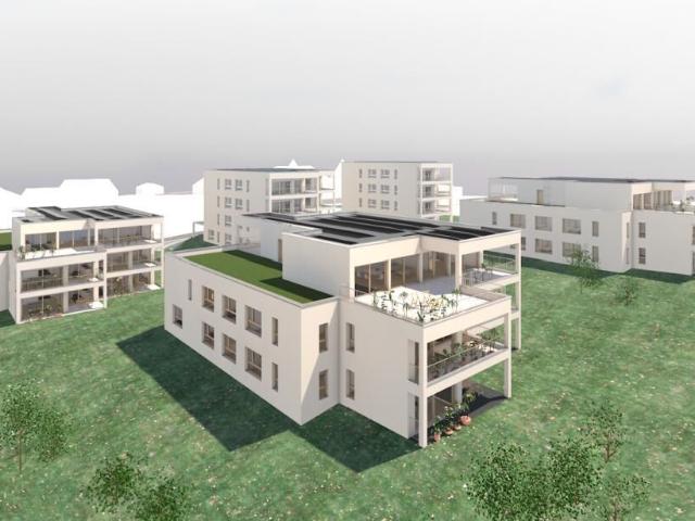 Immobilie kaufen in Saignelégier, Jura