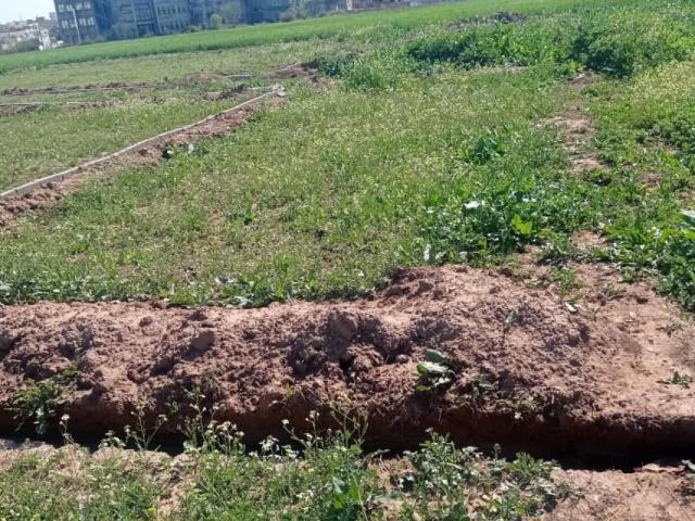 Land for sale in Islamabad