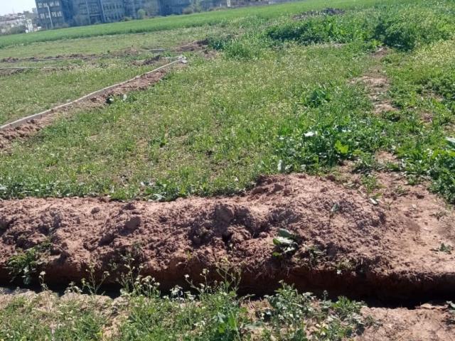 Land for sale in Islamabad