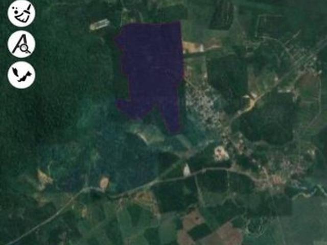 House for sale in Tringganu