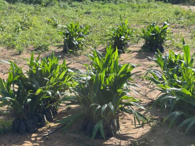 Land for sale in Abeokuta South, Ogun