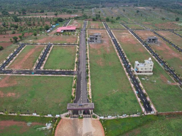 Land for sale in Indi, Karnataka