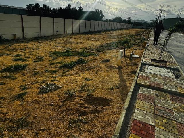 Land for sale in Indi, Karnataka