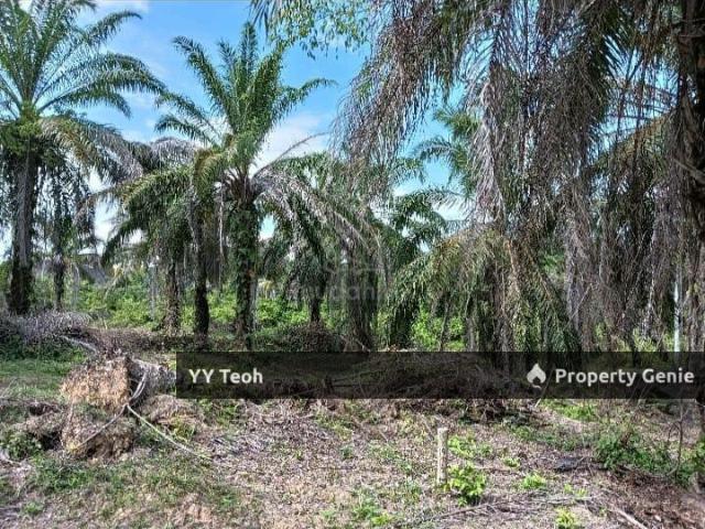 Property for sale in Malaka