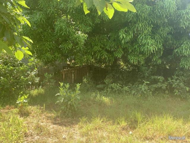 RESIDENTIAL LOT FOR SALE IN DUMAGUETE CITY ID 14892