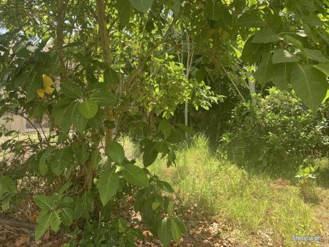 RESIDENTIAL LOT FOR SALE IN DUMAGUETE CITY ID 14892