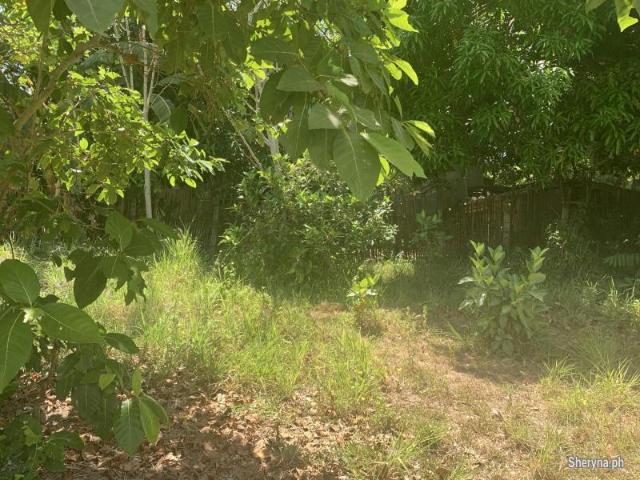 RESIDENTIAL LOT FOR SALE IN DUMAGUETE CITY ID 14892