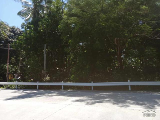 Residential Lot for sale in Larena