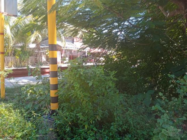 Residential Lot for sale in Larena