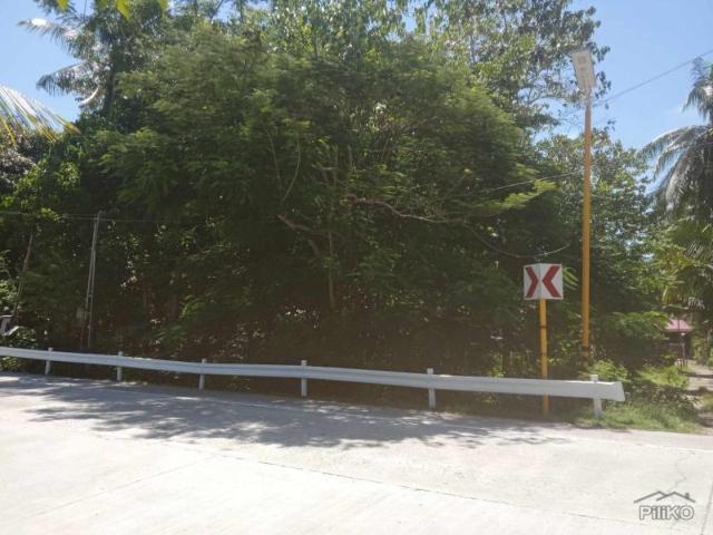 Residential Lot for sale in Larena