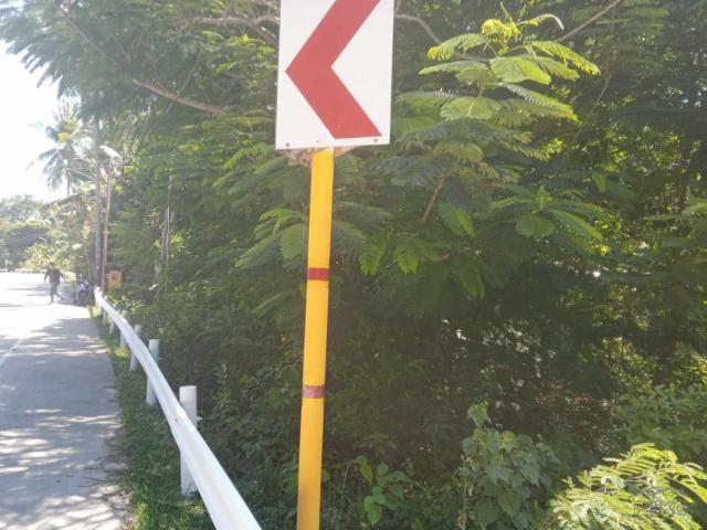 Residential Lot for sale in Larena