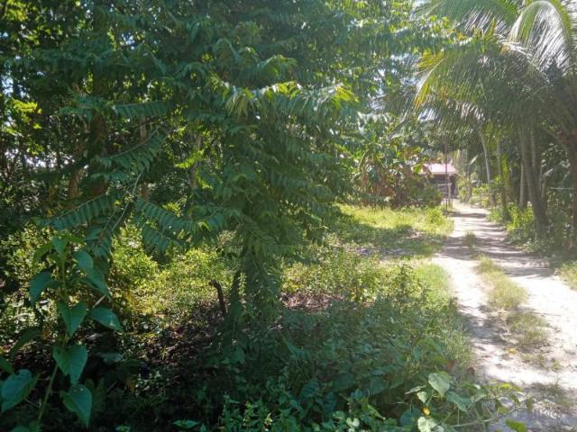 Residential Lot for sale in Larena