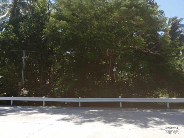 Residential Lot for sale in Larena