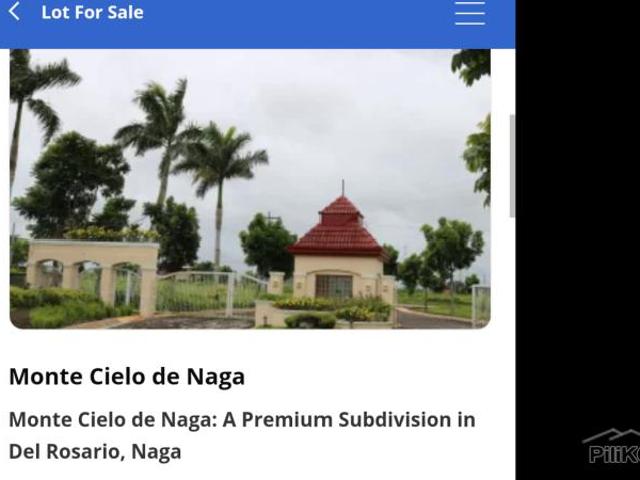 Residential Lot for sale in Naga