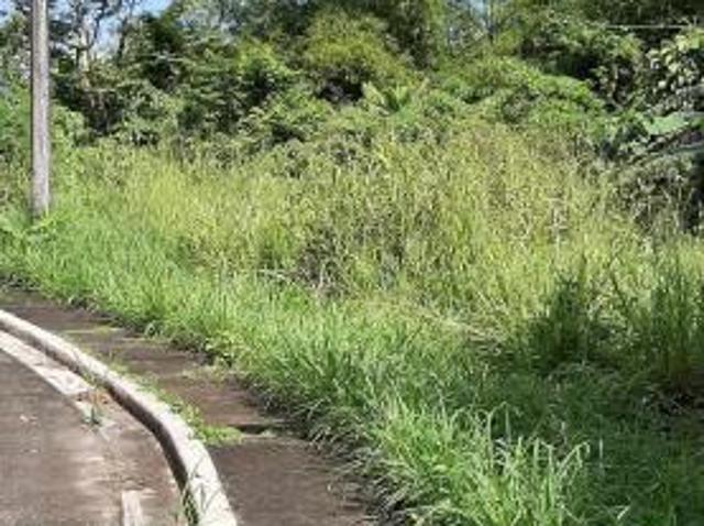 Residential Lot for sale in Naga