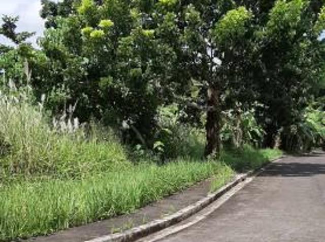 Residential Lot for sale in Naga