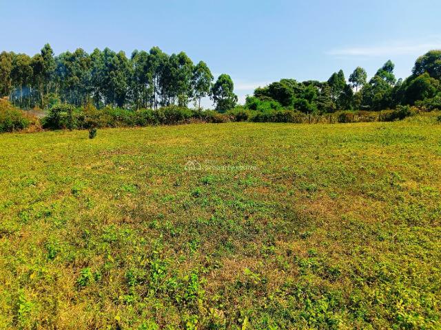 Land for sale in Kikuyu, Kiambu