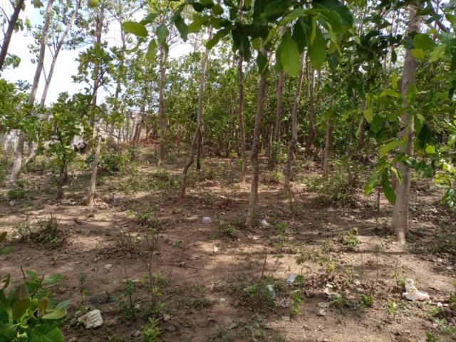 Property for sale in Gudu, Sokoto