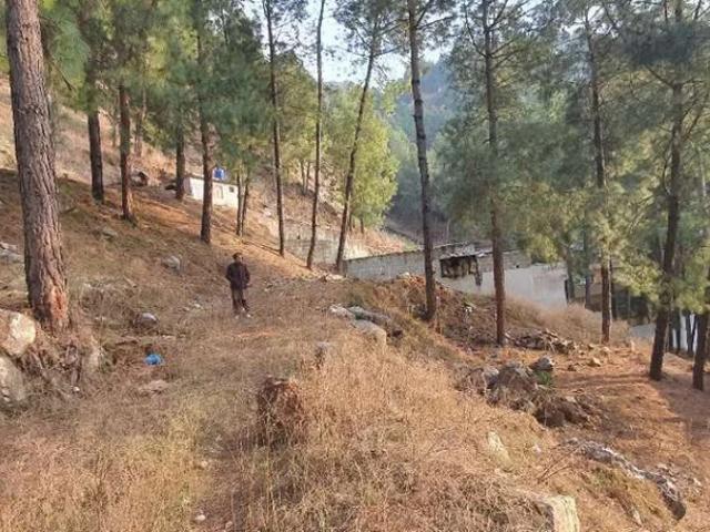 Land for sale in Abbottabad, North West Frontier Province
