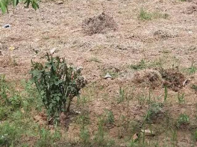 Land for sale in Rawalpindi, Islamabad Capital Territory