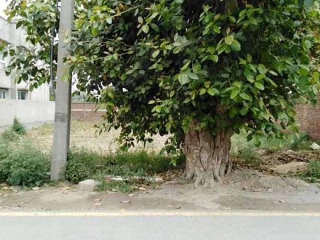 Land for sale in Rawalpindi, Islamabad Capital Territory