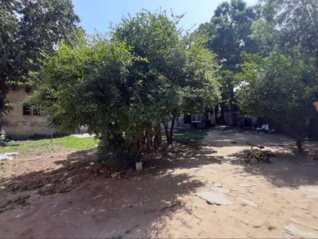 Land for sale in Model Town