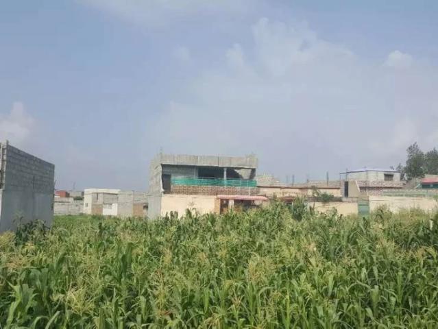 Land for sale in Mansehra, North West Frontier Province