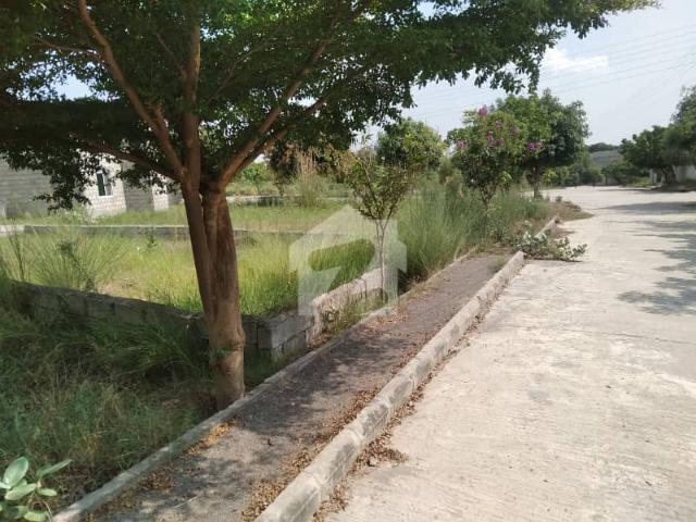Property for sale in Islamabad