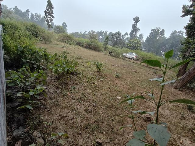 Land for sale in Kedarpur, Uttarakhand