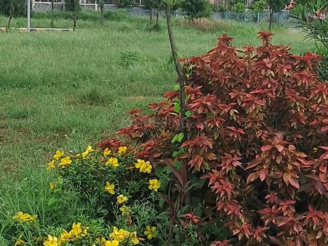 Land for sale in Haidarabad, Telangana