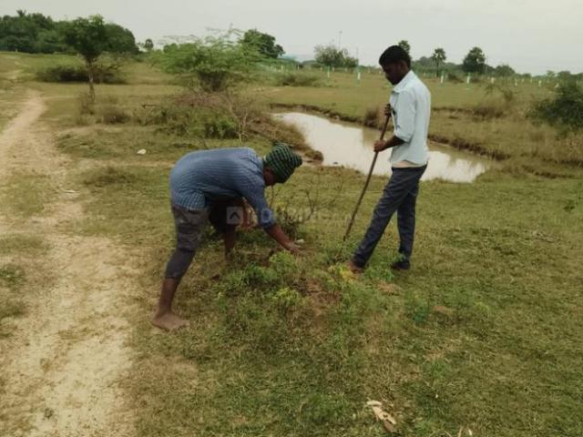 Land for sale in Acharapakkam, Chengalpattu