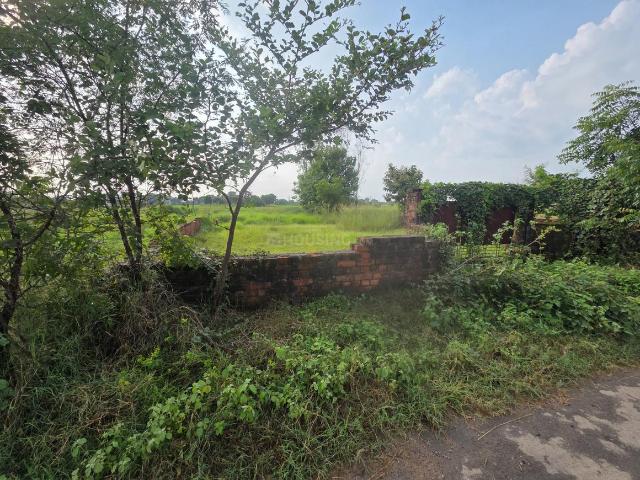 Land for sale in Mirzapur, Uttar Pradesh