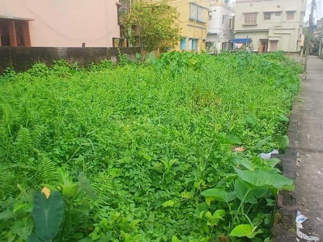 Land for sale in North 24 Parganas, Kamarhati