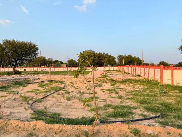 Land for sale in Pink City, Jobner