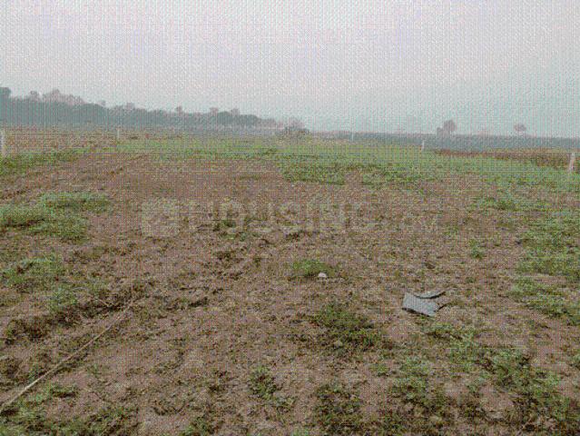 Land for sale in Gujarat