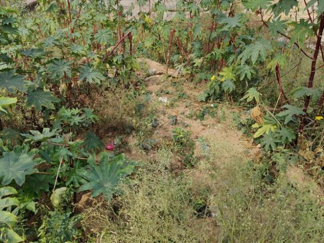 Land for sale in Dammaiguda, Telangana