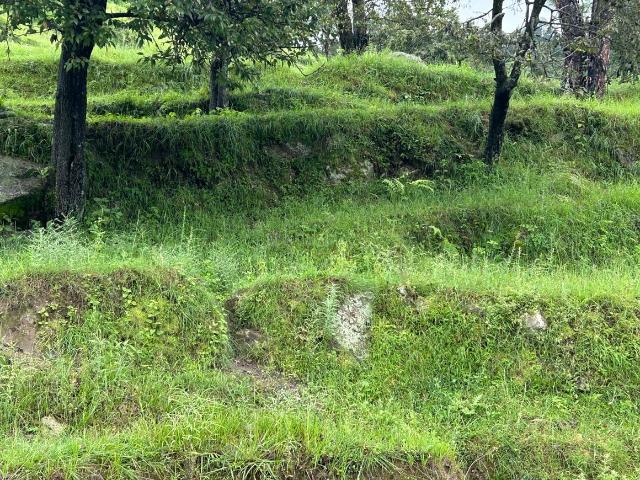 Land for sale in Ranikhata, Uttarakhand