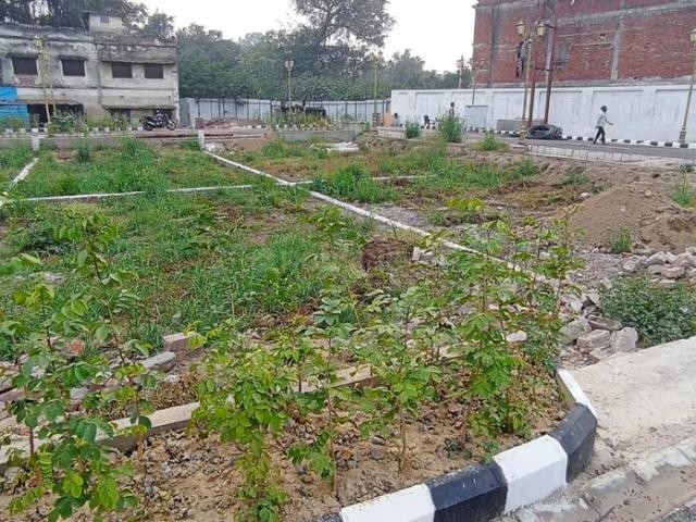 Land for sale in Lakhana, Arunachal Pradesh