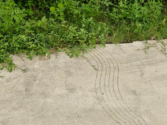 Land for sale in Kedarpur, Uttarakhand