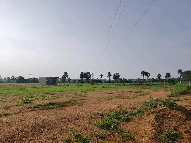 Land for sale in Somaraju Gudem, Bahadurpet