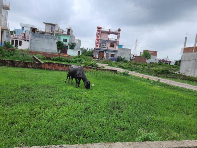 Land for sale in Lakhana, Arunachal Pradesh