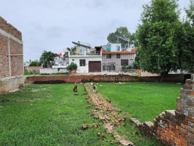 Land for sale in Lakhana, Arunachal Pradesh