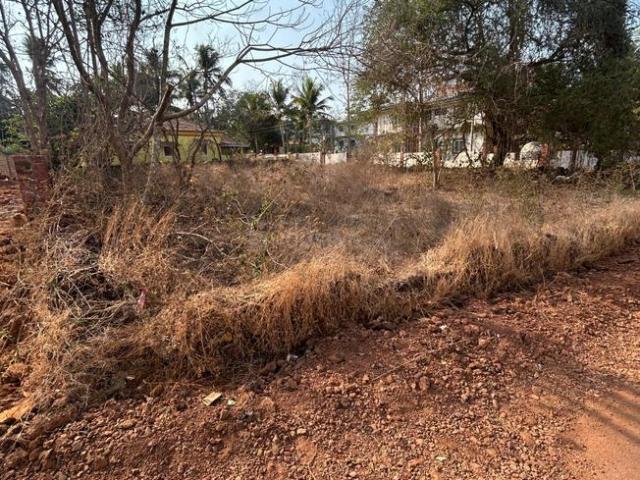 Land for sale in Aldona, Goa