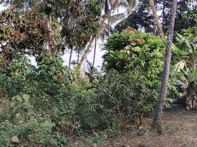 Land for sale in Aldona, Goa