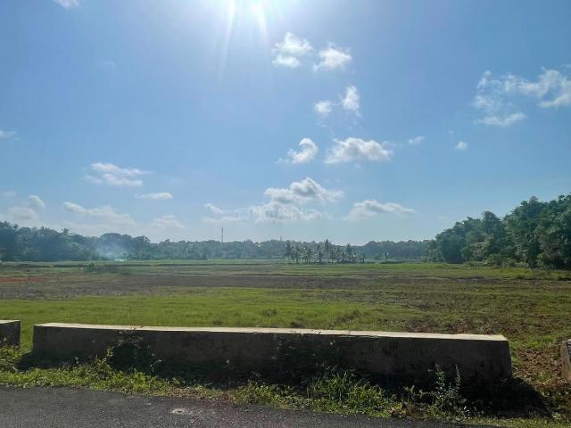 Land for sale in Aldona, Carona