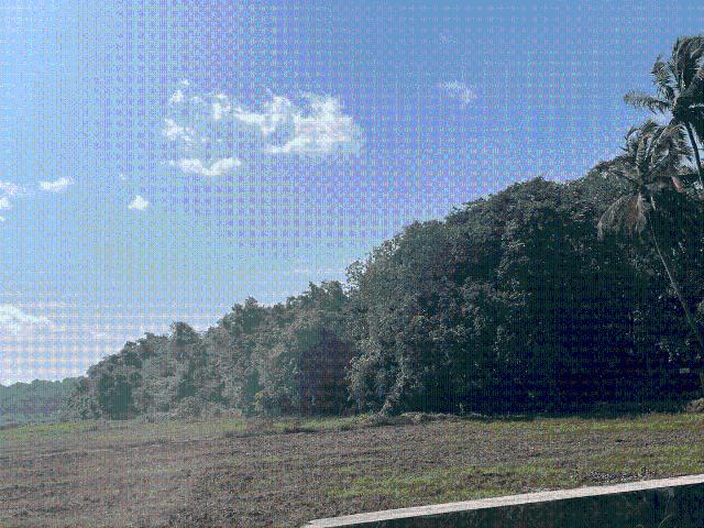 Land for sale in Aldona, Goa