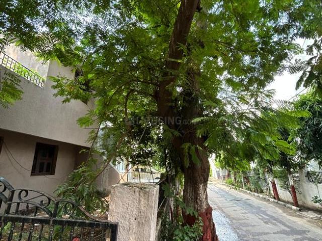 Land for sale in Tilakwada, Gujarat